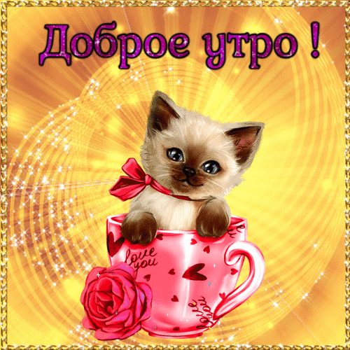 Открытка доброе утро милый котенок