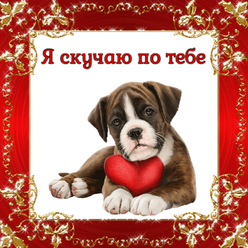 Картинки я скучаю по тебе гиф анимация