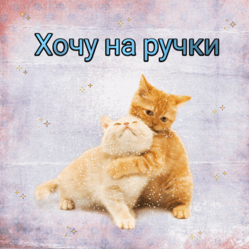 Хочу на ручки картинки гиф анимация