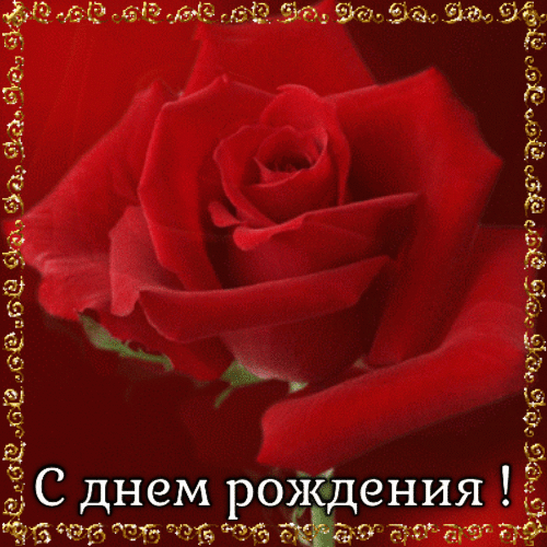 С Днем Рождения открытка с розой гиф анимация