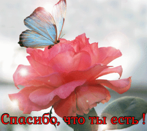 Спасибо, что ты есть гиф анимация