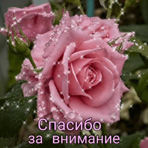 Спасибо за внимание анимация гиф анимация