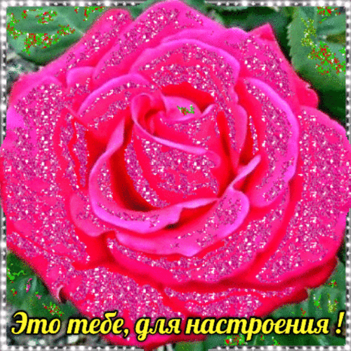 Для тебя gif гиф анимация
