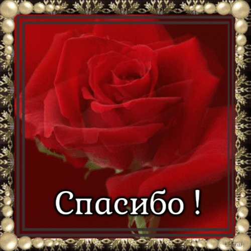 Гифки спасибо гиф анимация