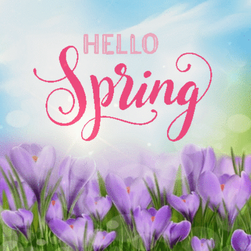 Hello Spring Sparkling GIF with a purple flowers