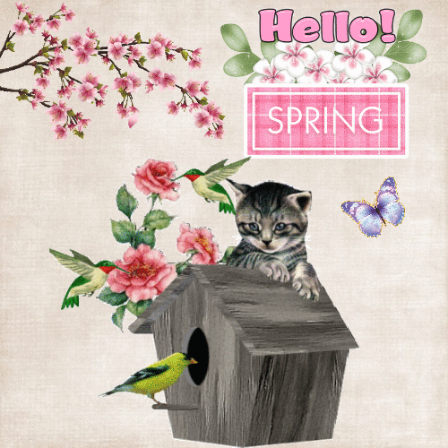 Beautiful Hello Spring Sparkling GIF
