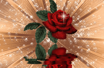 Thank You Animated Red Rose GIF