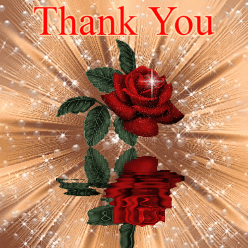 Thank You Animated Red Rose GIF