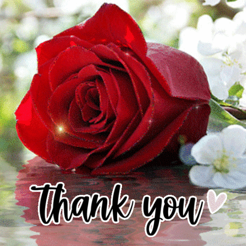 Thank You Red Rose GIF