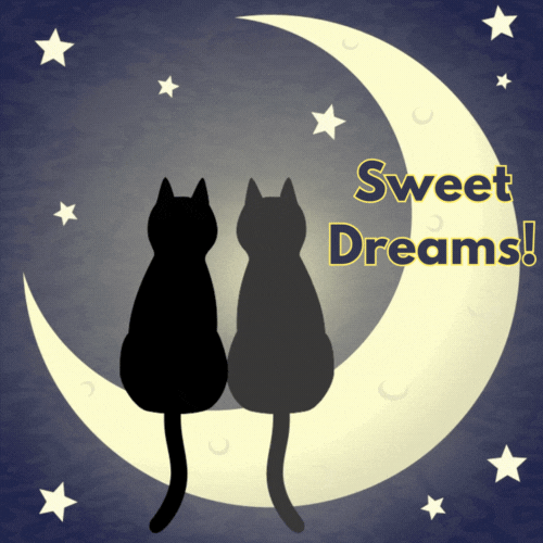 Sweet Dreams GIF with two cats in love on the moon
