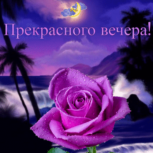 Гиф открытка «Прекрасного вечера»