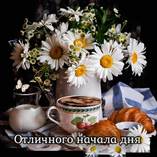 Отличного начала дня